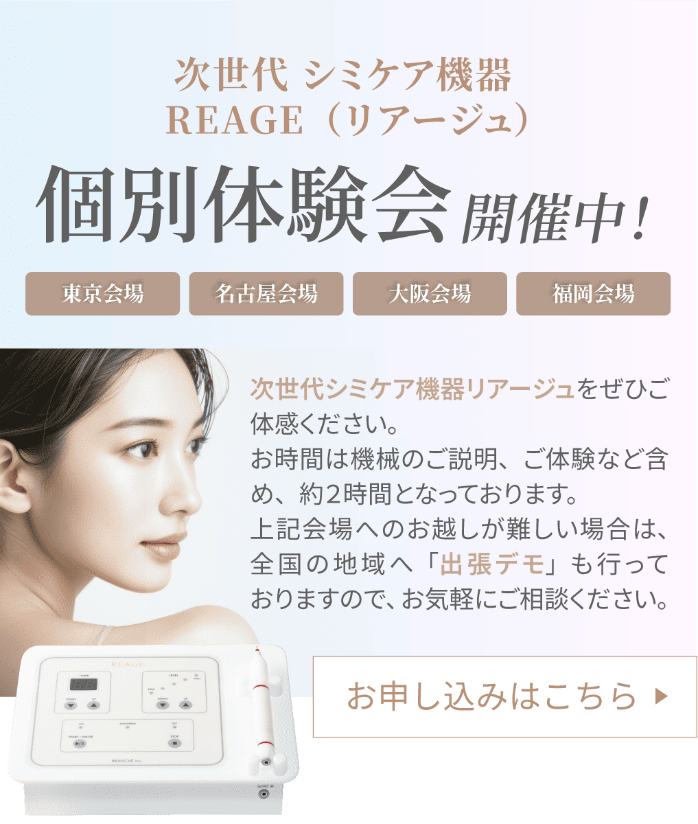 個別体験会