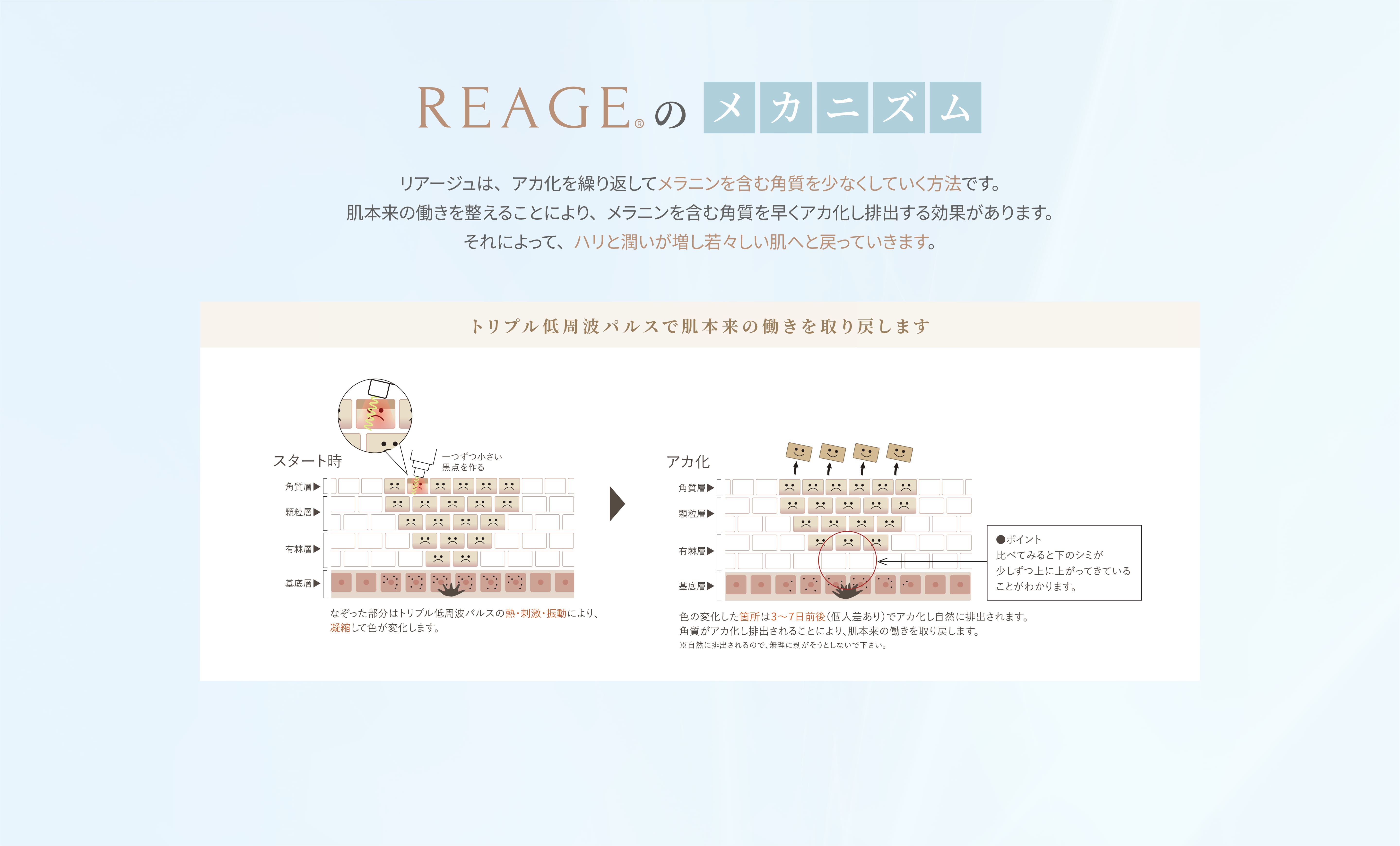 REAGEのメカニズム